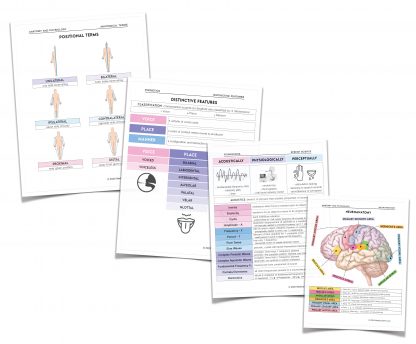 SLP Praxis Study Guide - Image 3