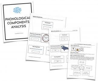 pca aphasia charts
