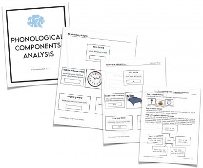 pca aphasia charts