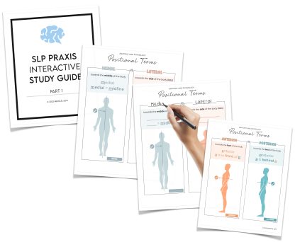 SLP Praxis Interactive Study Guide - Part 1 - Image 2